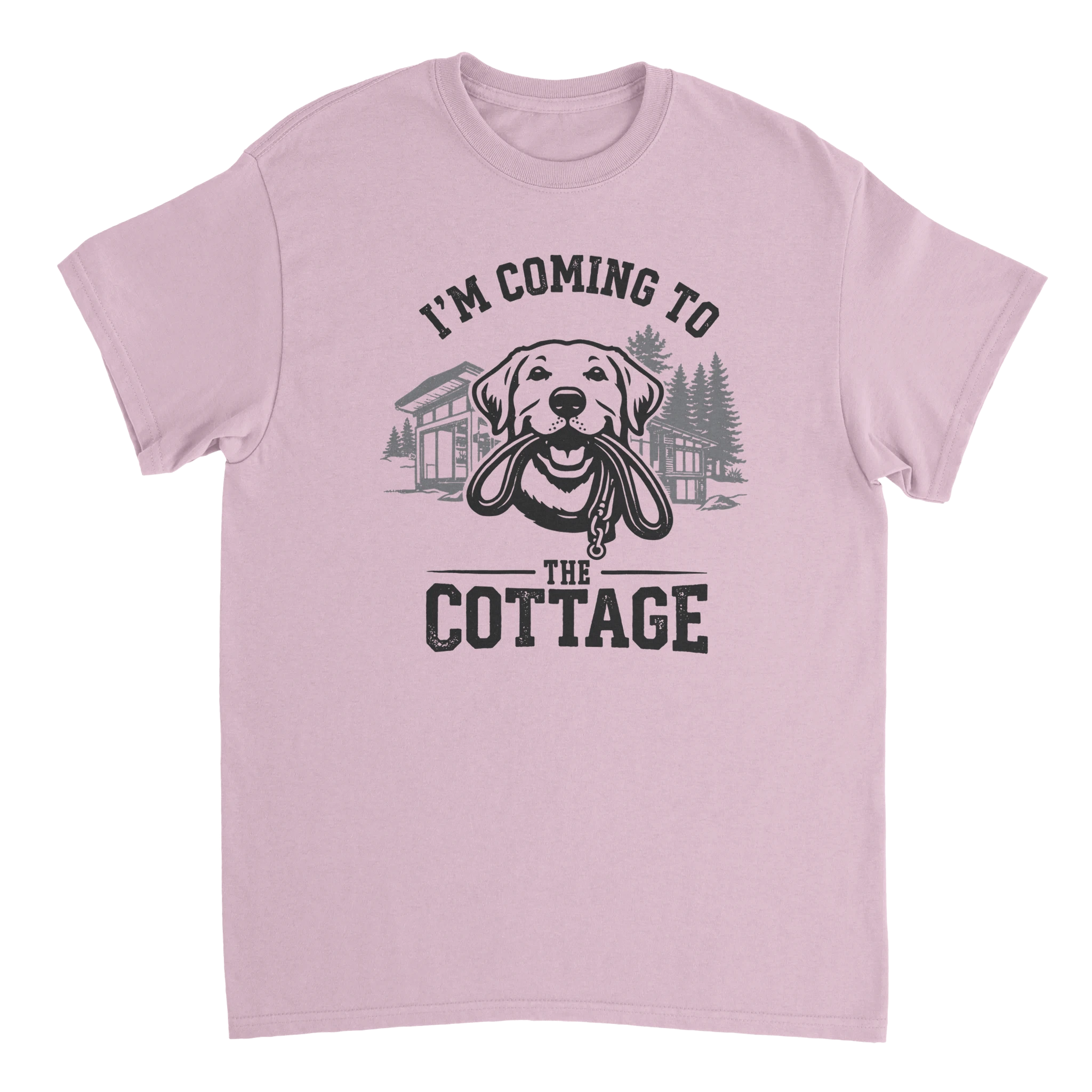 02ac2965-925b-484b-909a-5ea23a8cca25