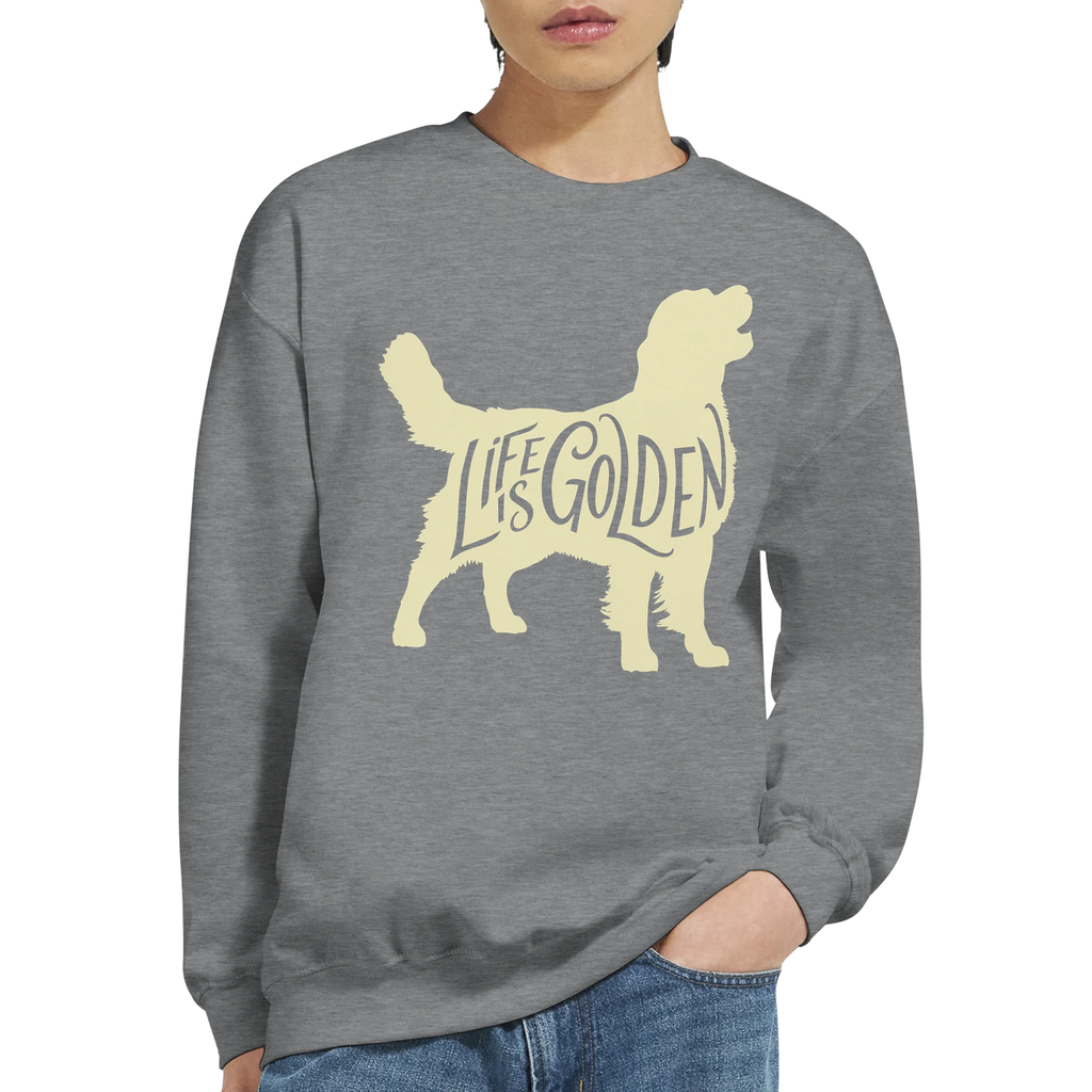 5d880ce9-b828-4422-95f2-da08e70ccca0